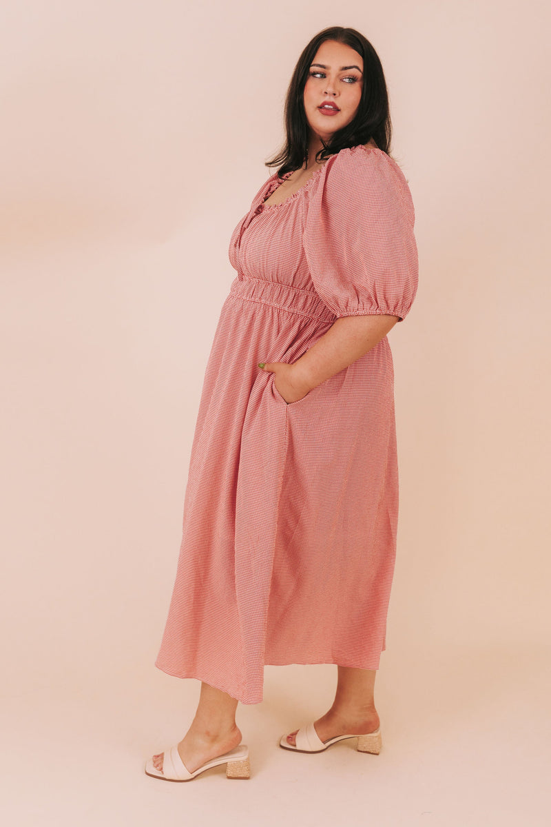 PLUS SIZE - Picnic Weather Dress