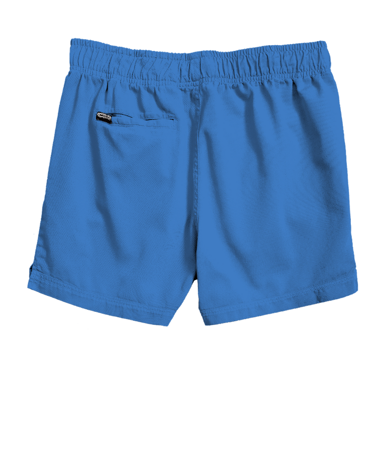 Blue Hawaii Dyed Shoreline Twill Shorts