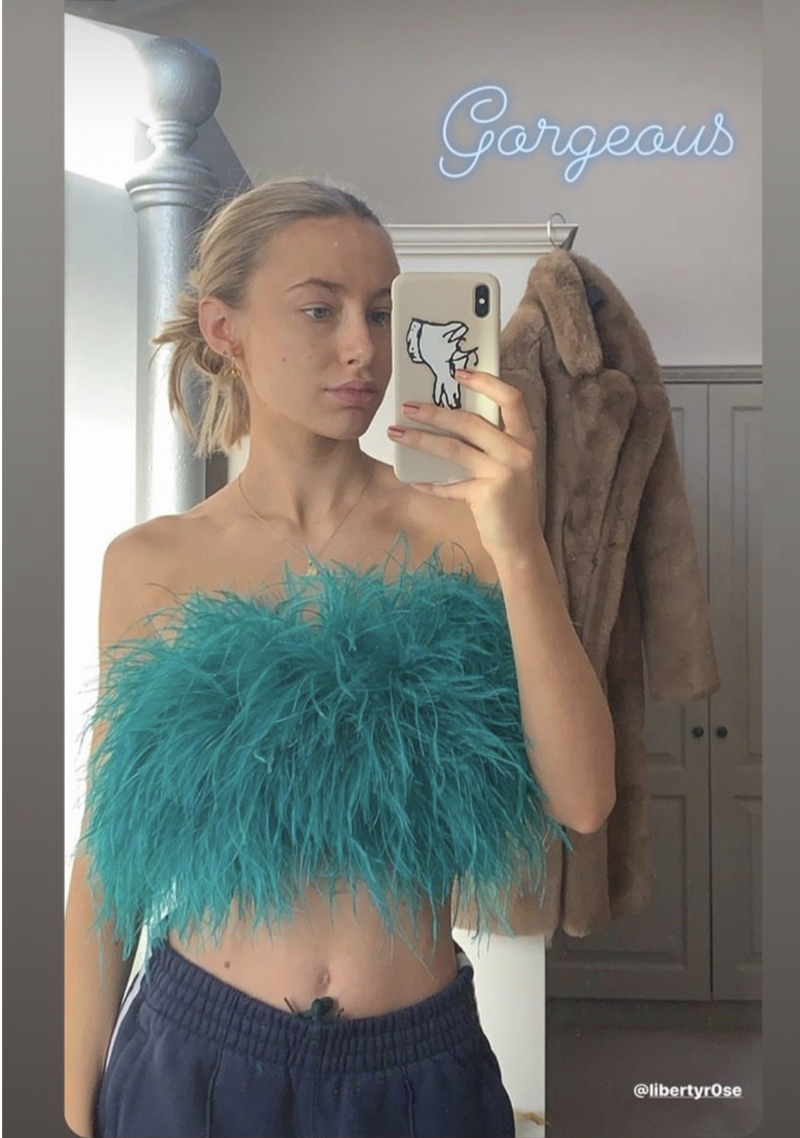 Feather Bandeau Top