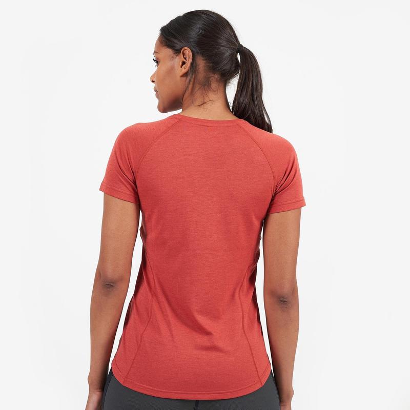 Dart Zip T-shirt Women's