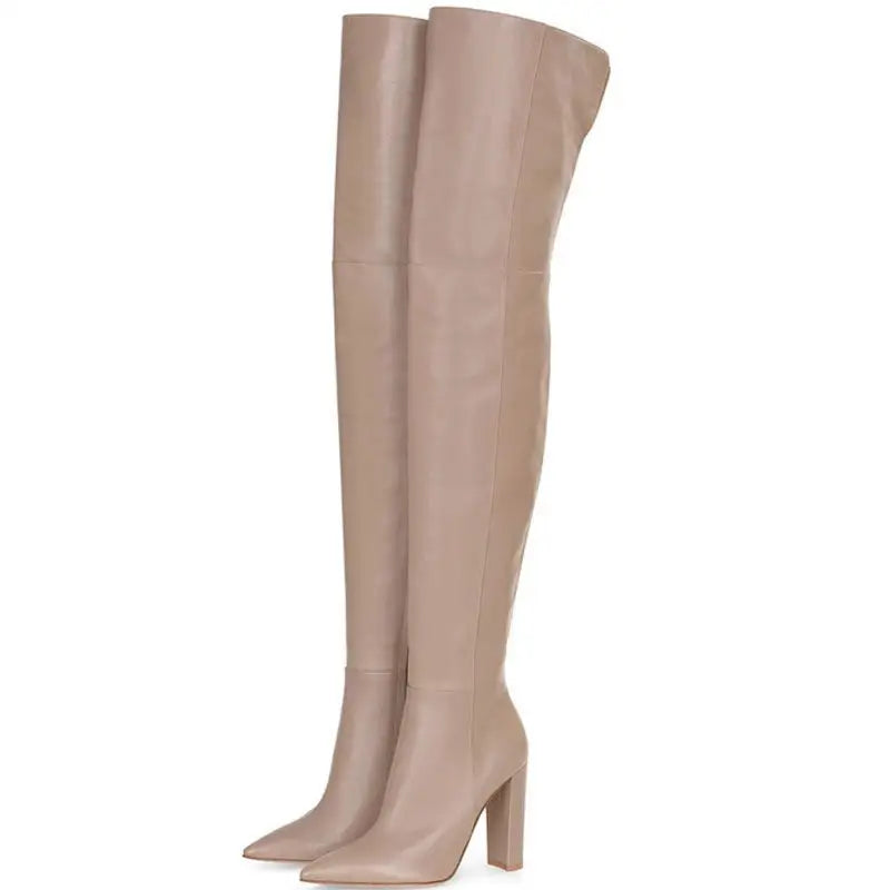 Pointed Snakeskin High Over The Knee Boots Plus Size