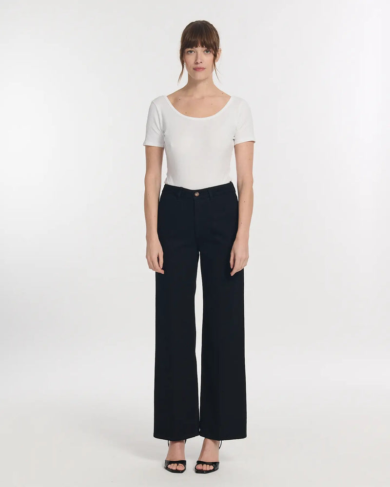 Large jet swann black
