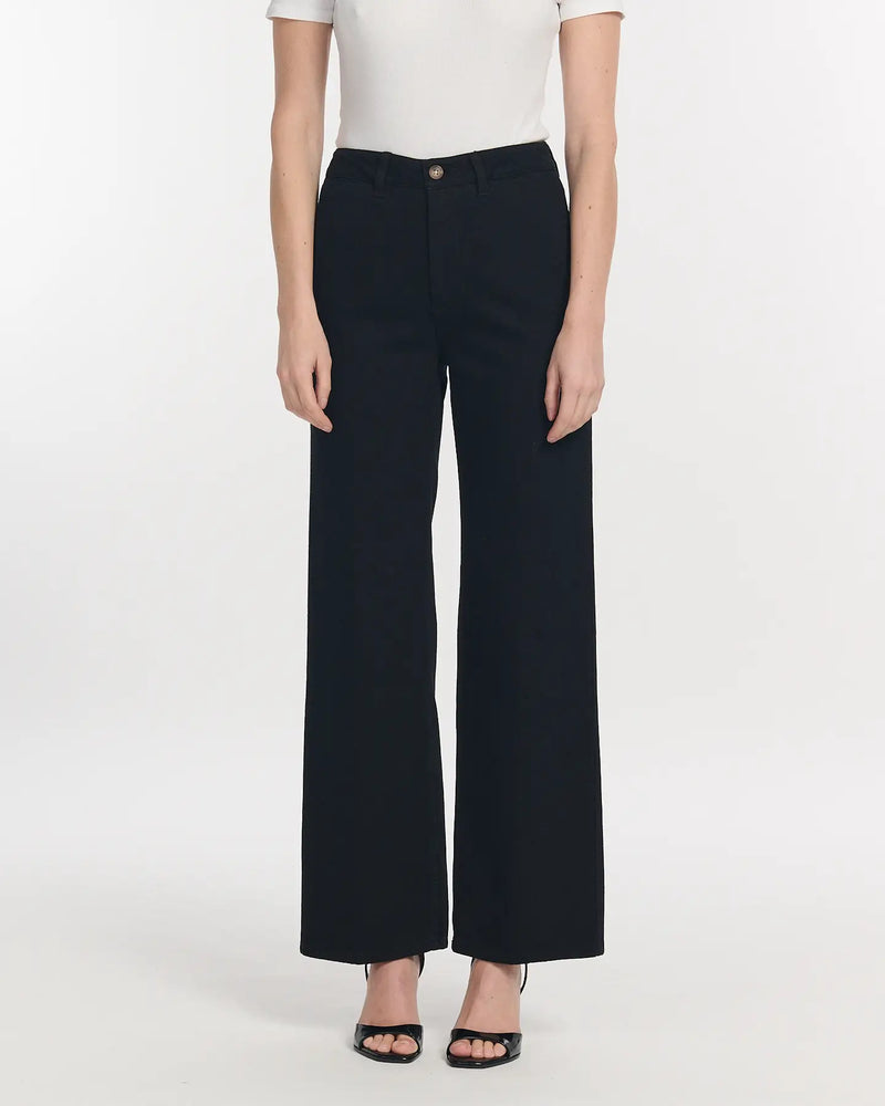 Large jet swann black