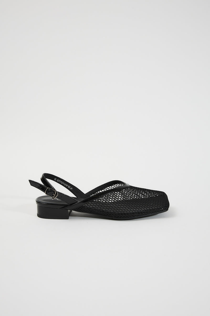 Galia Black