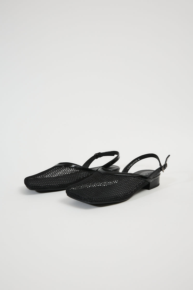Galia Black