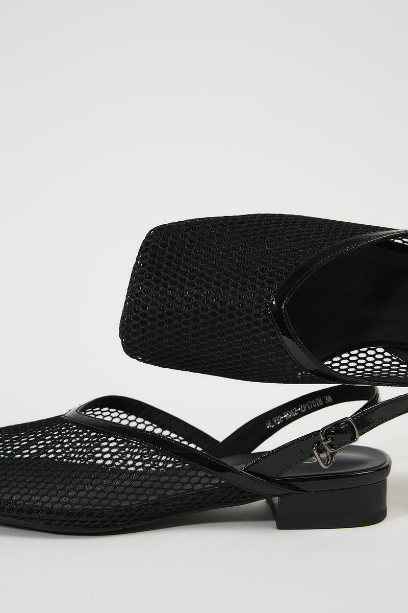 Galia Black