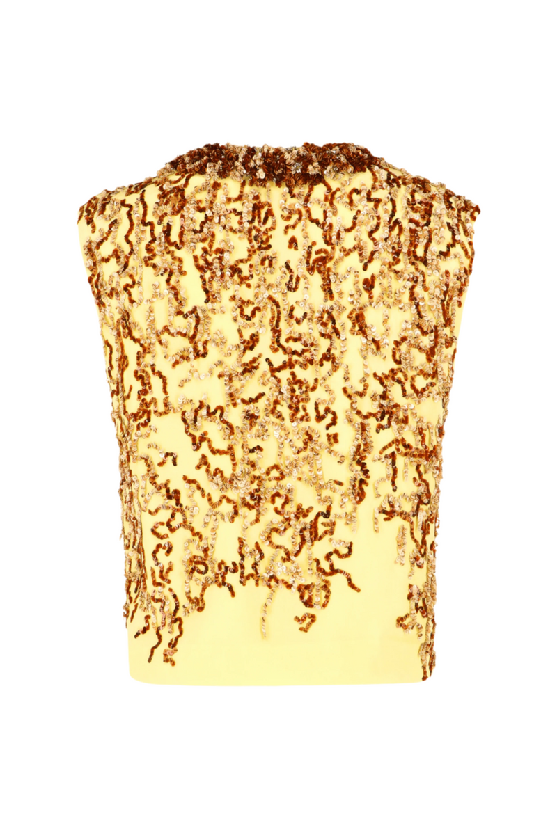 College Embellished Top