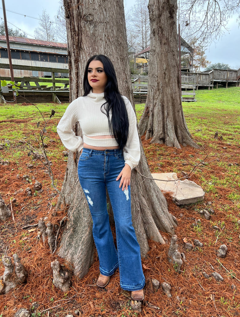 Ximena Turtleneck Cut Out Sweater Crop Top