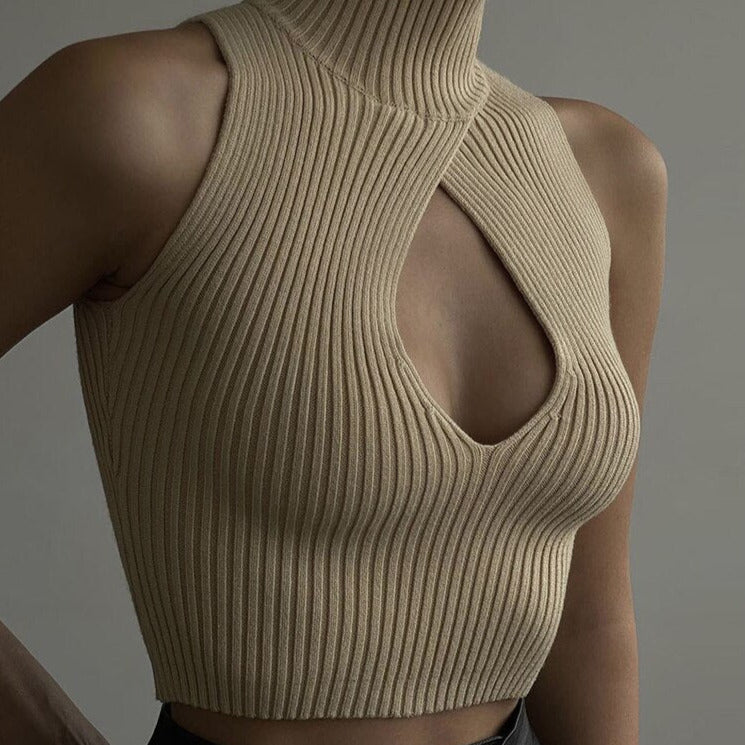 Cut Out Knitted Turtleneck Top