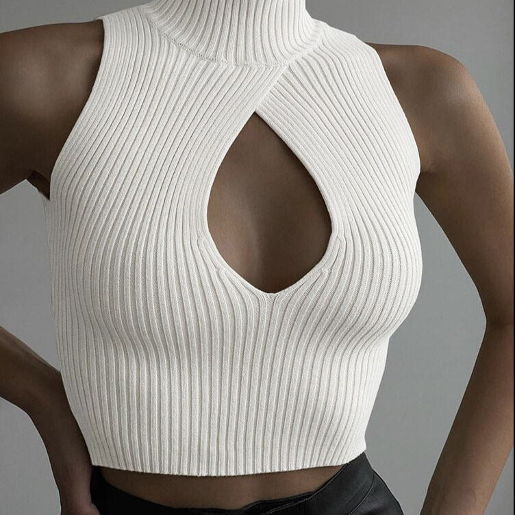 Cut Out Knitted Turtleneck Top